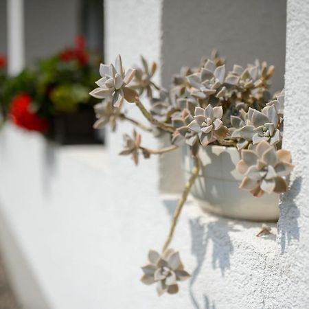 Hotel Bakta Haz Egerbakta Zewnętrze zdjęcie