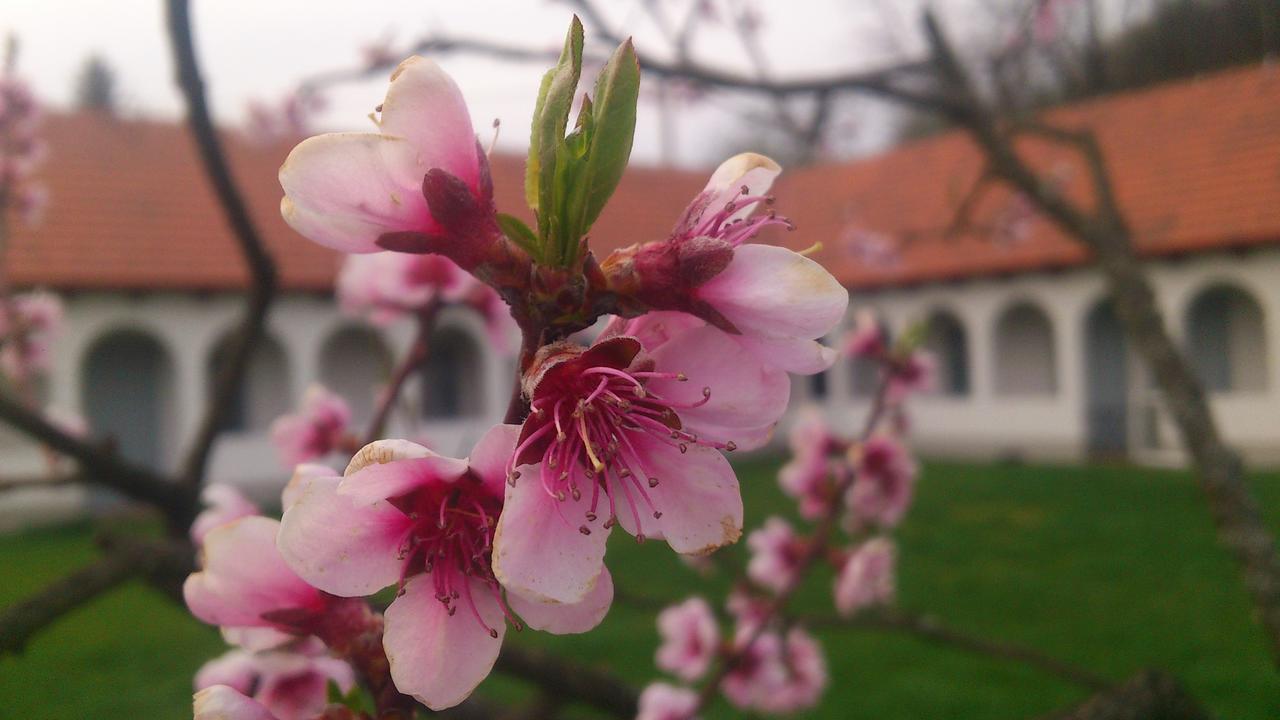 Hotel Bakta Haz Egerbakta Zewnętrze zdjęcie